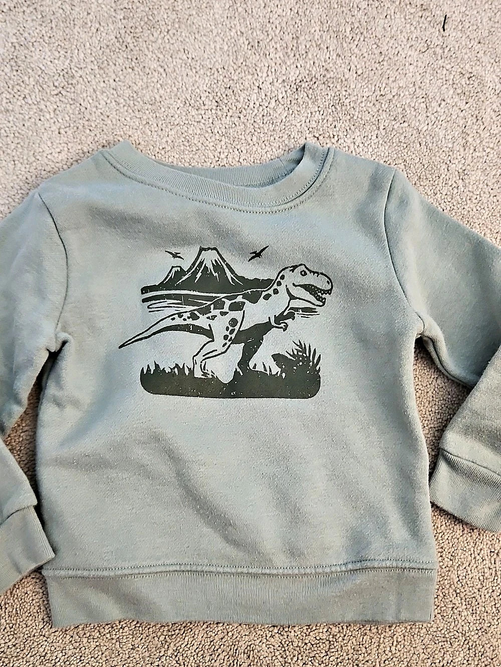 Gap Dinosaur Sweatshirt Blue Size 24M